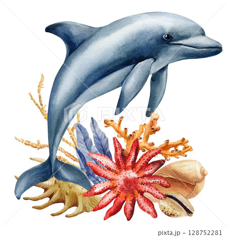 Dolphin with coral reef starfish seashells and tropical plants watercolor marine animal illustration, Wildlife poster, card Dolphin with coral reef starfish seashells and tropical plants watercolor marine animal illustration, Wildlife poster, card 128752281