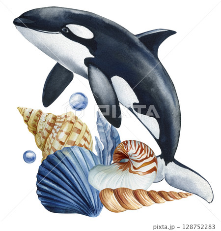 Orca whale with seashells bubbles and tropical marine elements watercolor ocean illustration on white Orca whale with seashells bubbles and tropical marine elements watercolor ocean illustration on white 128752283
