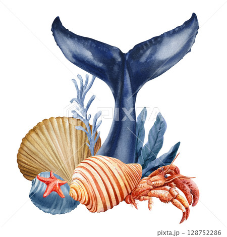 Whale tail with hermit crab seashells starfish and sea plants watercolor ocean animal illustration, underwater life, ocean animal 128752286