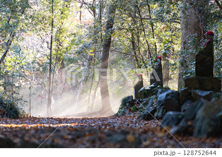 高尾山での天子の梯子 高尾山での天子の梯子 128752644