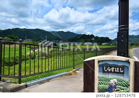 和束川にかかる白栖橋　京都 128753478