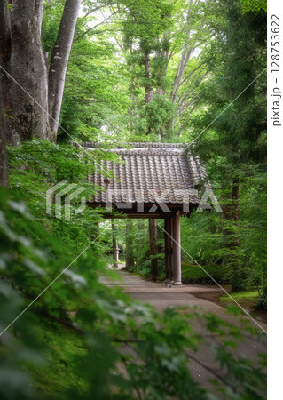 新緑の最勝寺 128753622