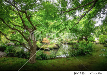 新緑の最勝寺 128753626