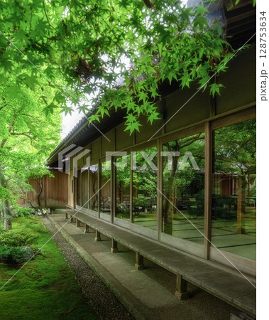 新緑の最勝寺 128753634