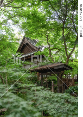 新緑の最勝寺 128753640