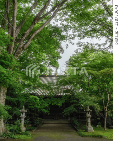 新緑の最勝寺 新緑の最勝寺 128753643