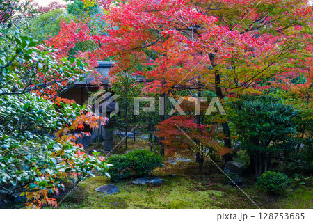 和室から眺める紅葉の庭園　大法院 128753685