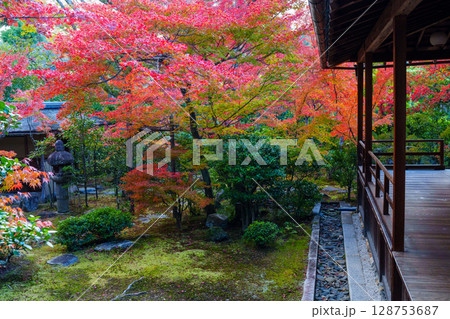和室から眺める紅葉の庭園　大法院 128753687