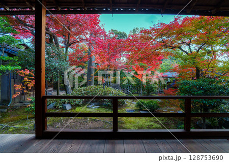 和室から眺める紅葉の庭園 大法院 和室から眺める紅葉の庭園 大法院 128753690