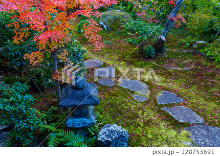 和室から眺める紅葉の庭園　大法院 128753691