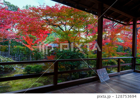 和室から眺める紅葉の庭園　大法院 128753694