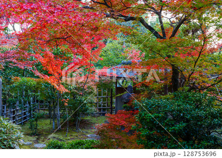 和室から眺める紅葉の庭園　大法院 128753696