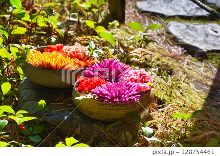 鎌倉　一条恵観山荘　美しい花手水（神奈川県鎌倉市） 128754461