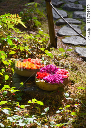鎌倉 一条恵観山荘 美しい花手水(神奈川県鎌倉市) 鎌倉 一条恵観山荘 美しい花手水(神奈川県鎌倉市) 128754479