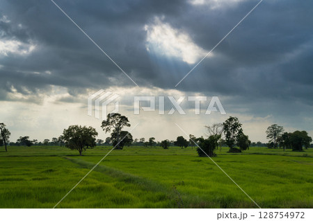 Thailand Buri Ram 128754972