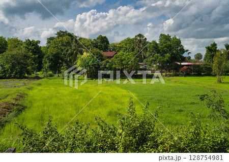 Thailand Buri Ram 128754981