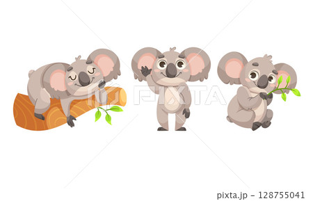Engaging Series of Cute Cartoon Koalas Adventuring on Tree Branches in a Forest Setting 128755041