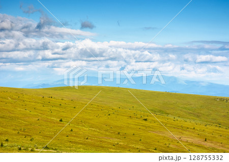 mountain landscape with green grass in summer. alpine meadow under blue sky with clouds. outdoor adventure in highland of ukraine. wonderful view 128755332