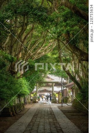 新緑の酒列磯前神社 新緑の酒列磯前神社 128755634