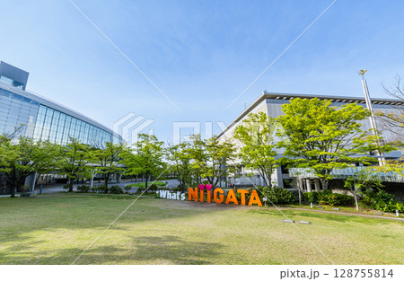 新潟県新潟市　新潟市民芸術文化会館「りゅーとぴあ」と新潟県民会館と文字モニュメント「NIIGATA」 128755814