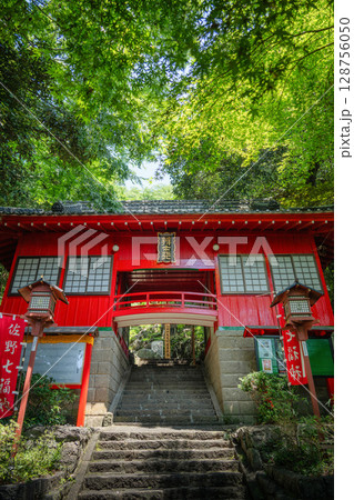 新緑の出流原弁天池 128756050