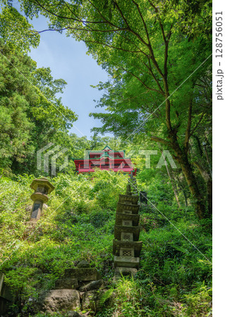 新緑の出流原弁天池 128756051