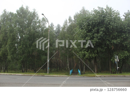 Forest near the road in the early morning 128756660