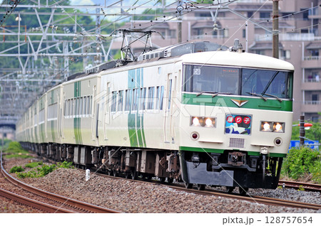 東海道本線 真鶴 JR東日本 185系 C6編成(大宮) 踊り子 東海道本線 真鶴 JR東日本 185系 C6編成(大宮) 踊り子 128757654