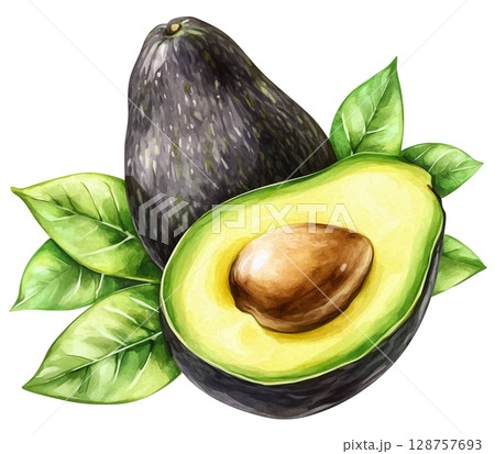 Avocado with cut in half and leaf transparent watercolor PNG clipart isolated on white background. Avocado with cut in half and leaf transparent watercolor PNG clipart isolated on white background. 128757693