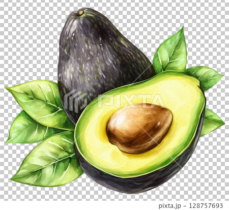 Avocado with cut in half and leaf transparent watercolor PNG clipart isolated on white background. Avocado with cut in half and leaf transparent watercolor PNG clipart isolated on white background. 128757693