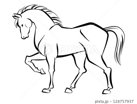 筆書き風の馬のイラスト、午年の年賀状素材 筆書き風の馬のイラスト、午年の年賀状素材 128757937