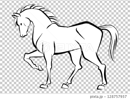 筆書き風の馬のイラスト、午年の年賀状素材 筆書き風の馬のイラスト、午年の年賀状素材 128757937