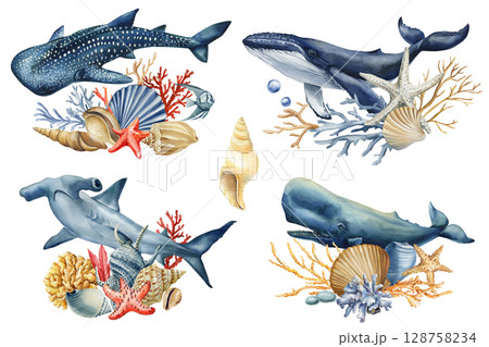 Watercolor ocean animals set with whale shark coral starfish seashells marine life underwater clipart nautical illustration 128758234