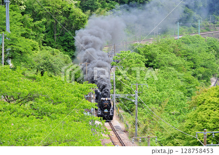 上越線　上牧－水上　JR東日本　D51-498+12系（高崎）　SLみなかみ 128758453