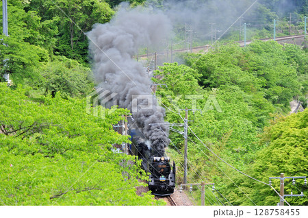 上越線　上牧－水上　JR東日本　D51-498+12系（高崎）　SLみなかみ 128758455