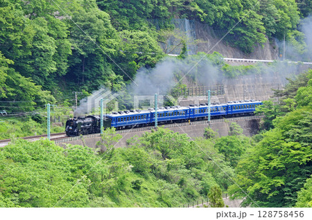 上越線 上牧-水上 JR東日本 D51-498+12系(高崎) SLみなかみ 上越線 上牧-水上 JR東日本 D51-498+12系(高崎) SLみなかみ 128758456