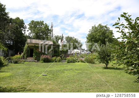 Landscape of a country house with a lawn and fruit trees 128758558
