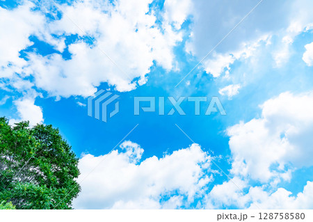 青空と雲と木立 128758580