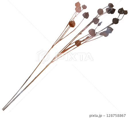 Watercolor dried stick with seed pods in brown tones, boho autumn wedding isolated illustration Watercolor dried stick with seed pods in brown tones, boho autumn wedding isolated illustration 128758867