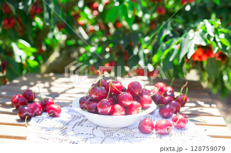 still life with cherries in a white bowl on a table still life with cherries in a white bowl on a table 128759079