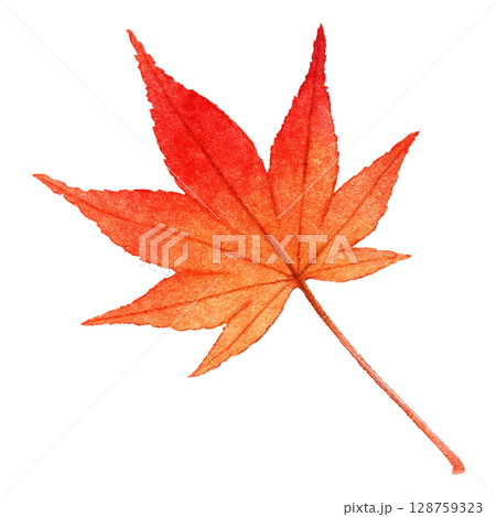 落ち葉 イラスト もみじ 水彩 一枚 128759323