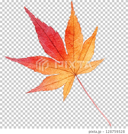 落ち葉 イラスト もみじ 水彩 一枚 落ち葉 イラスト もみじ 水彩 一枚 128759328