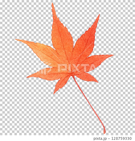 落ち葉 イラスト もみじ 水彩 一枚 128759330