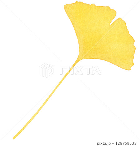 落ち葉 イラスト イチョウ 水彩 一枚 128759335