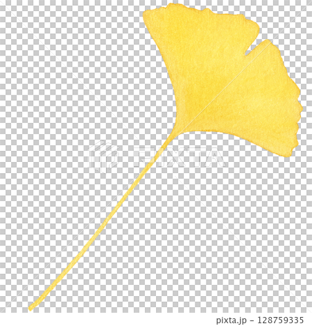 落ち葉 イラスト イチョウ 水彩 一枚 128759335