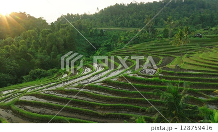 Panoramic View of Rice Terraces in Bali, Indonesia. Top aerial drone view of green rice fields. Panoramic View of Rice Terraces in Bali, Indonesia. Top aerial drone view of green rice fields. 128759416
