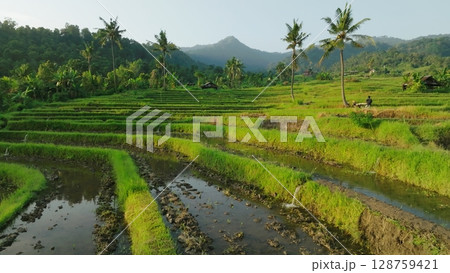 Panoramic View of Rice Terraces in Bali, Indonesia. Top aerial drone view of green rice fields. Panoramic View of Rice Terraces in Bali, Indonesia. Top aerial drone view of green rice fields. 128759421