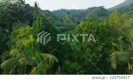 Panoramic View of Rice Terraces in Bali, Indonesia. Top aerial drone view of green rice fields. Panoramic View of Rice Terraces in Bali, Indonesia. Top aerial drone view of green rice fields. 128759427