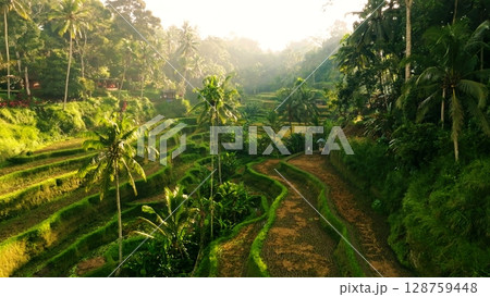 Panoramic View of Rice Terraces in Bali, Indonesia. Top aerial drone view of green rice fields. 128759448