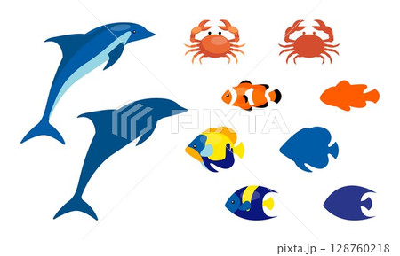 Colorful Sea Animals Colorful Sea Animals 128760218
